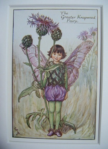 Vtg flower fairies print - vtg,