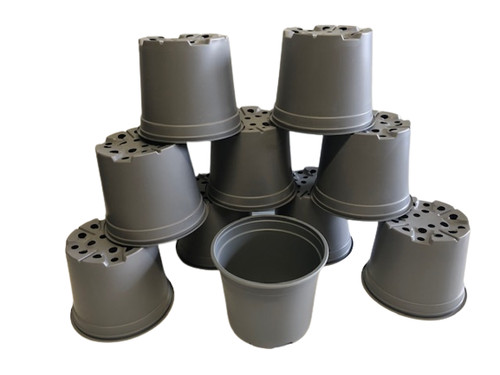 Litre 19 cm plant - 3,