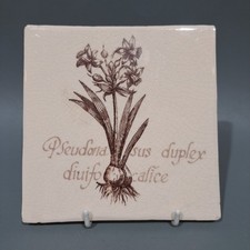 Fired Earth Ceramic Wall Tile