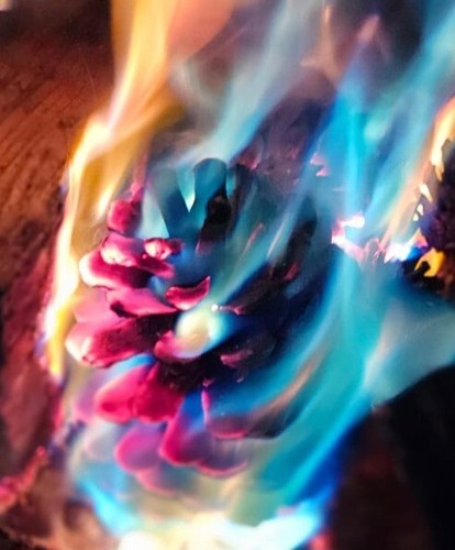 Christmas/Novelty/Solstice/Mag