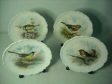 Choose ONE OR MORE Plates WOODLAND BIRDS COLLECTION Royal Albert Plate P1