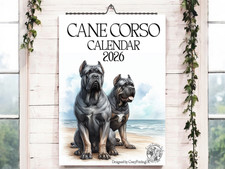 Cane Corso Calendar 2026-Dog