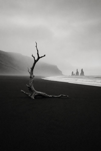Black sand beach with single - sand,