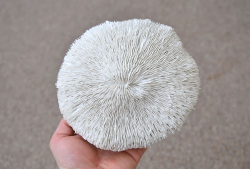 Artificial white mushroom - white,