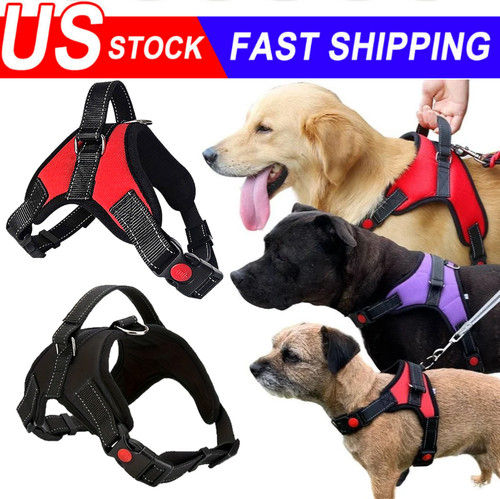Pull dog pet harness - no,