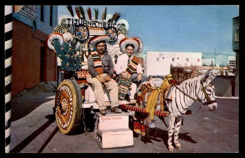 Postcard donkey carts - postcard,