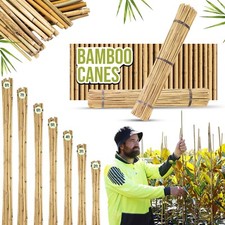 Heavy Duty Thick Bamboo Canes