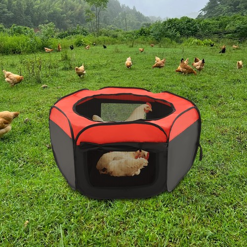 Foldable brooder box for chick - foldable,