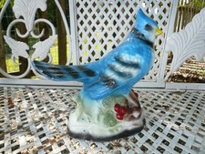 UNIQUE OLD BLUE JAY