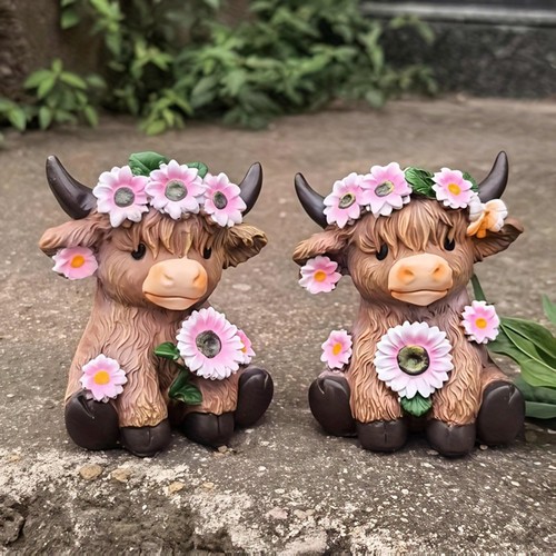 Highland cow plant - plant, pot