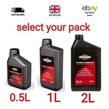 Briggs stratton 100004e - &,