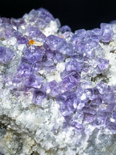 Natural fluorescent purple - natural,