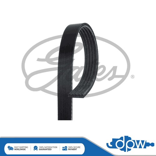 Gates ribbed belts fits - gates,