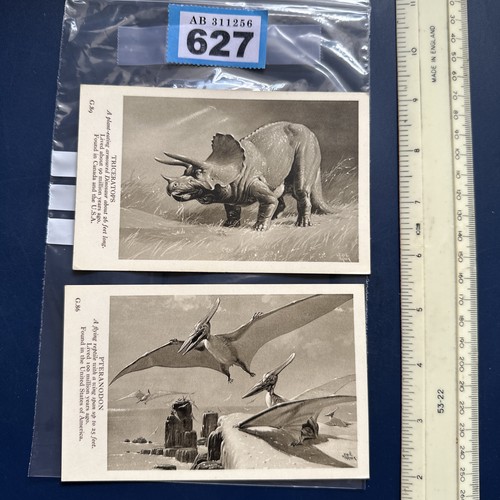 Np627 dinosaur collectables - np627,