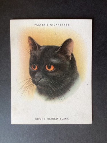 Player cigarettes cats - player’s,