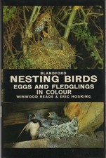 Nesting Birds, Eggs and
