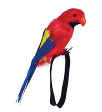 Pirate Shoulder Parrot 50cm Feathered Fancy Dress Accessory for Captain Jack