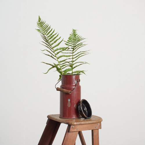 Antique vintage rustic medium - vintage,