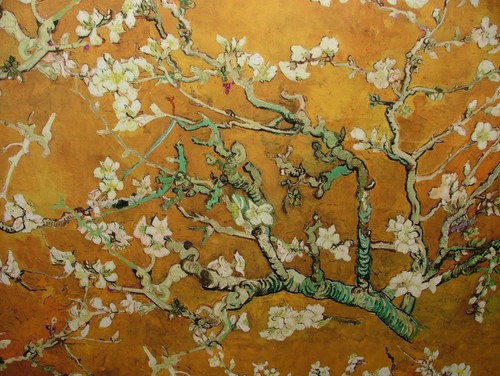 Japanese cherry blossom - japanese,