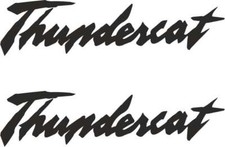 Yamaha thundercat matching - yamaha,