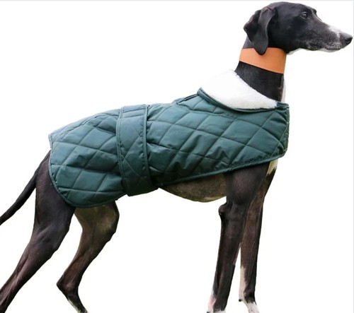 Ancol muddy paws quilted green - muddy,