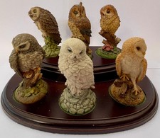 Set of 6 Royal Doulton Owls on