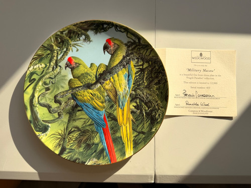 Wedgwood military macaw - military,