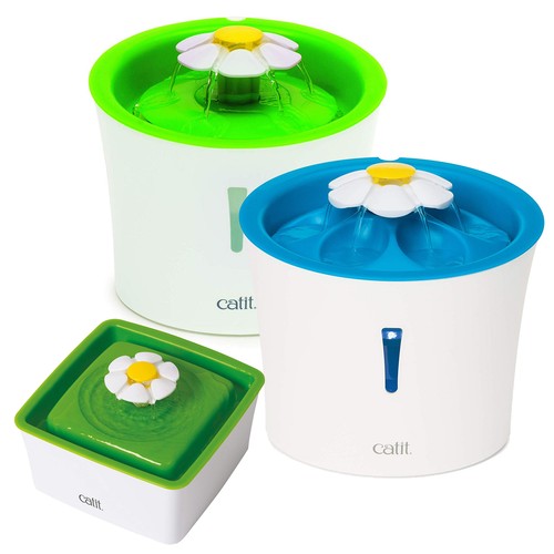 Catit cat kitten - catit, flower
