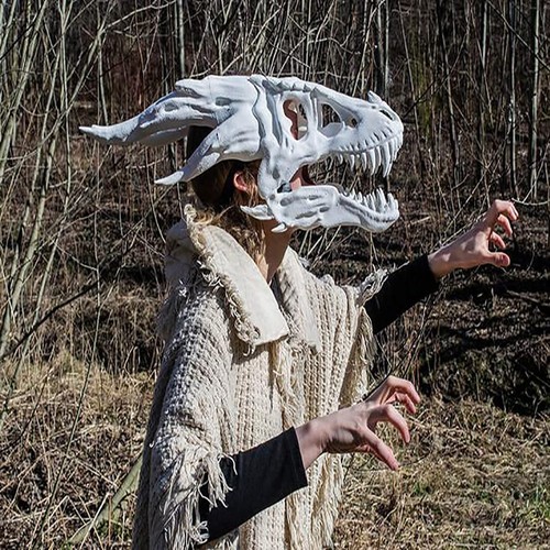 White skull dragon full face - dragon,