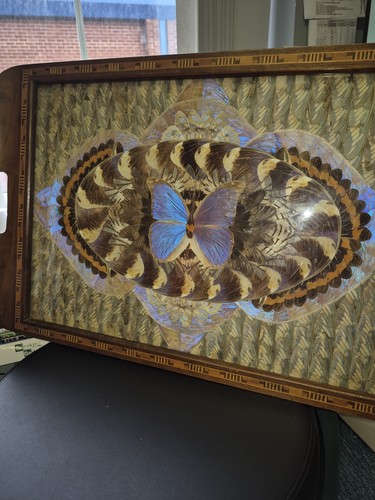 Butterfly tray mahogany inlaid - butterfly,