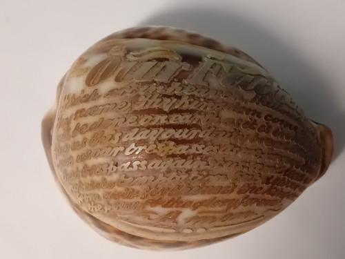 Vintage cowrie shell carved - vintage,