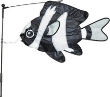 Damsel Fish Windswimmer