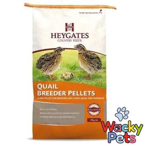Quail partridge pheasant - quail,