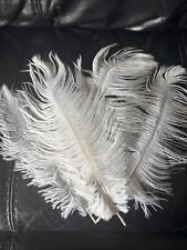 White Ostrich Feather Size Between 10-12 CM Used
