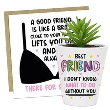 Gift For Best Friend Funny
