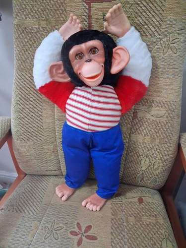 Jacko monkey chad - monkey, valley
