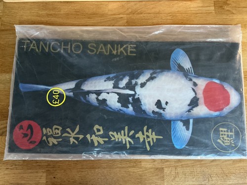 Solid wooden koi - solid,