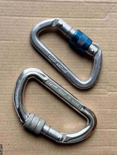 Two climbing carabiners - two,