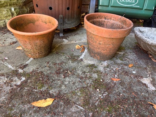 Garden ceramic plant pots - ceramic,
