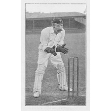 CRICKET Henry Wood, Surrey Wicket Keeper - Antique Print 1894