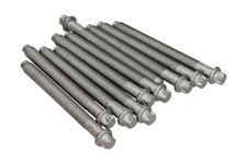 ✅Fits VICTOR REINZ