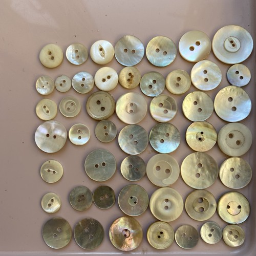 Mother pearl buttons - 50,
