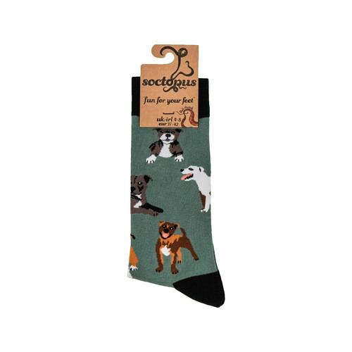 Soctopus men staffie - men's,