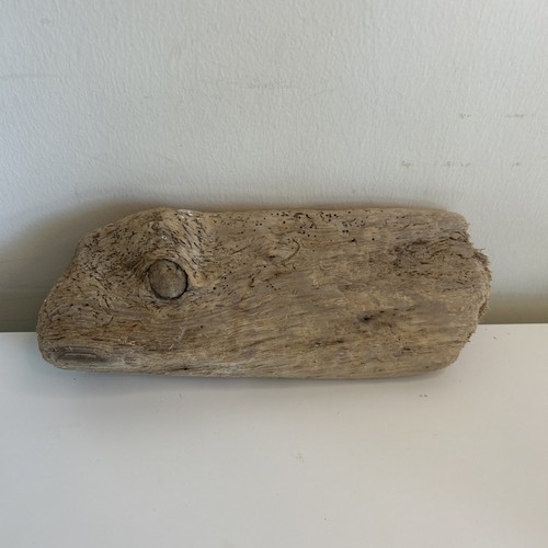Unique driftwood piece - piece, –