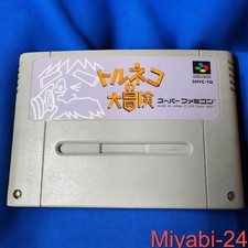 Rare Super Famicom Torneko's