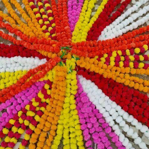 Set indian wedding - pc,