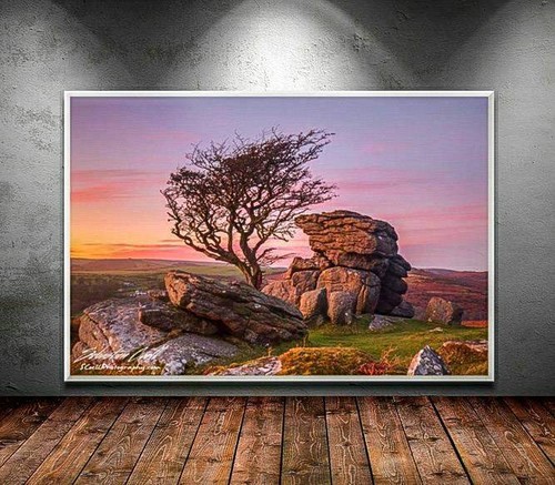 Dartmoor prints hawthorn - dartmoor,