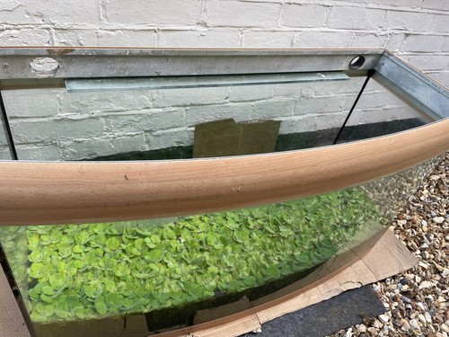 Juwel aquarium good for - juwel,