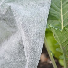 Yuzet White Plant Protection