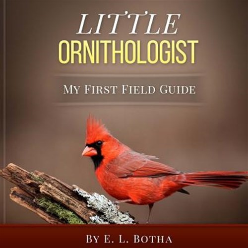 Little ornithologist - little,